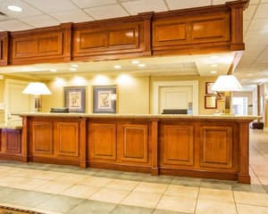 thumbnail: Reception