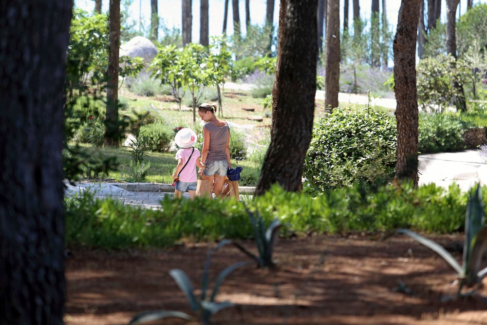 Children's activities