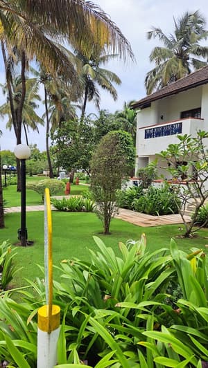 thumbnail: Garden view