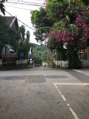 thumbnail: View from property