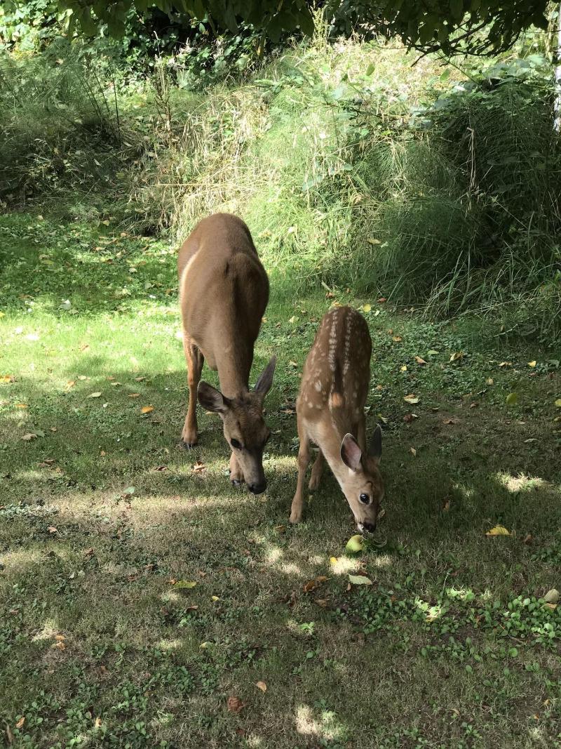Long Beach thumbnail