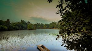 thumbnail: Water view