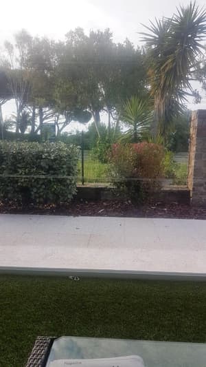 thumbnail: General view