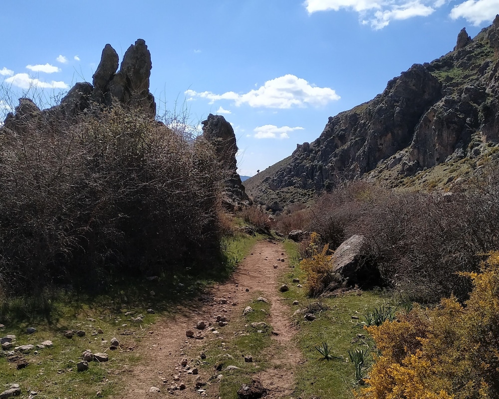 Hiking