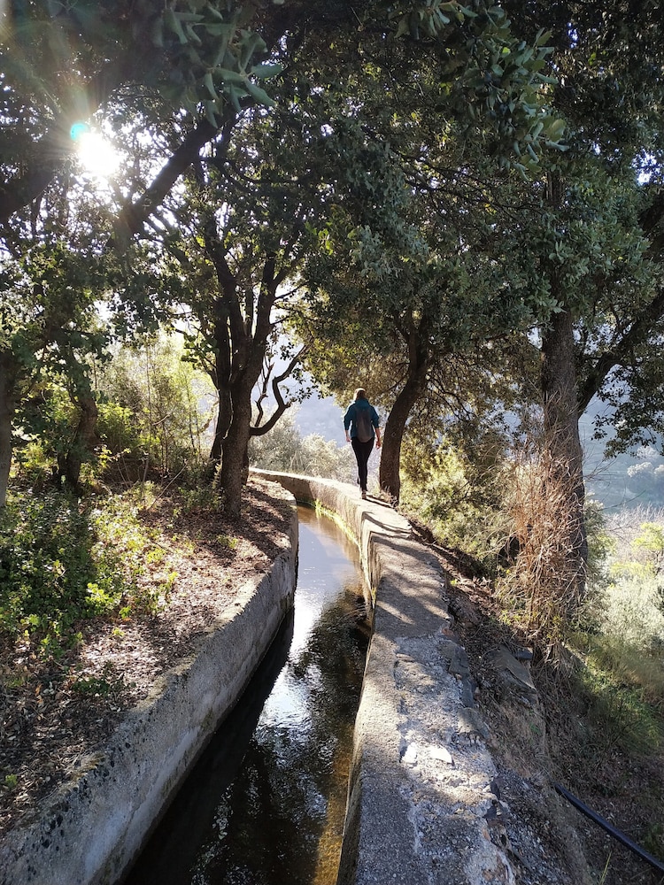 Hiking