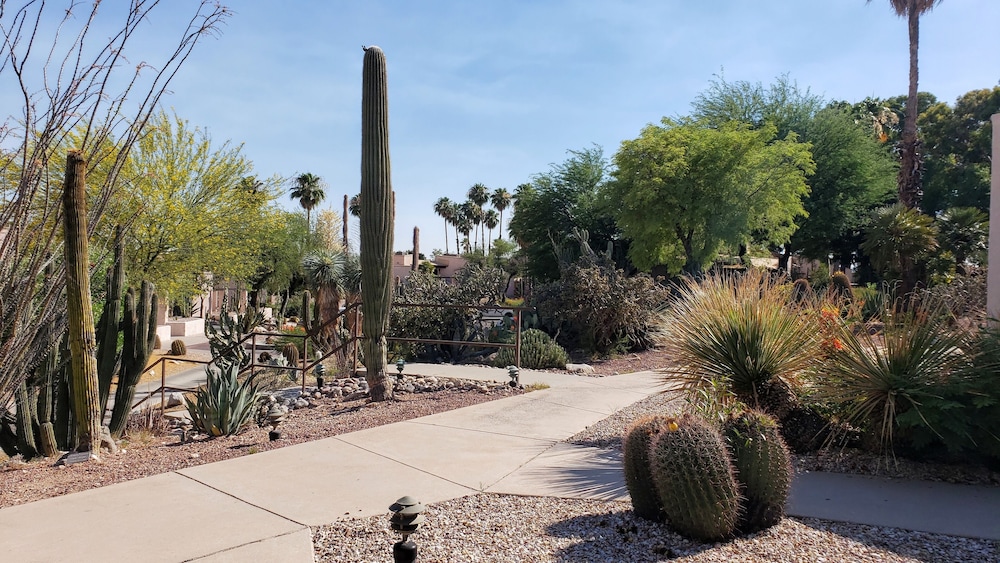 Garden view