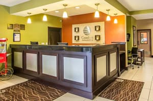 thumbnail: Reception