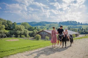 thumbnail: Horseback riding