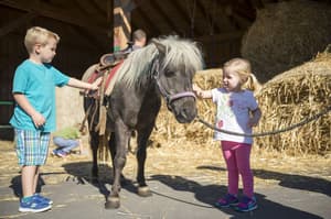 thumbnail: Horseback riding