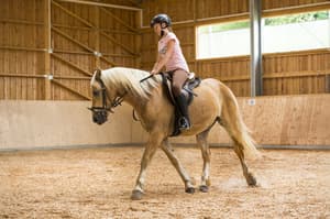 thumbnail: Horseback riding