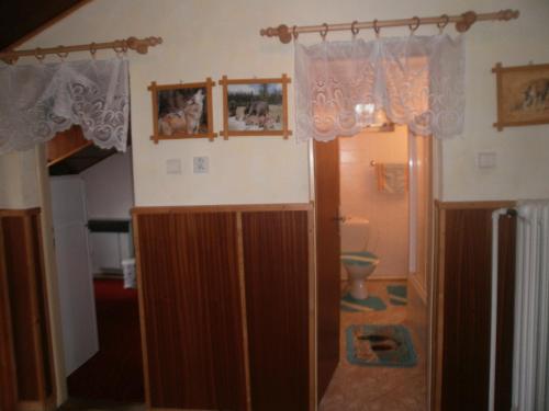 21872410.jpg