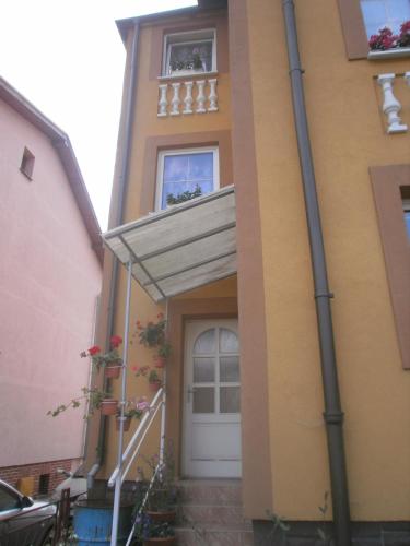 21872377.jpg