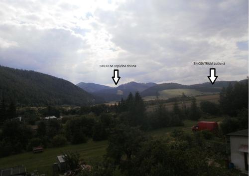 38572425.jpg