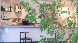 thumbnail: Bar (on property)