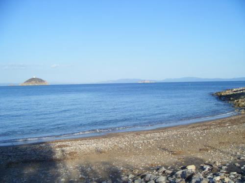 41543439.jpg