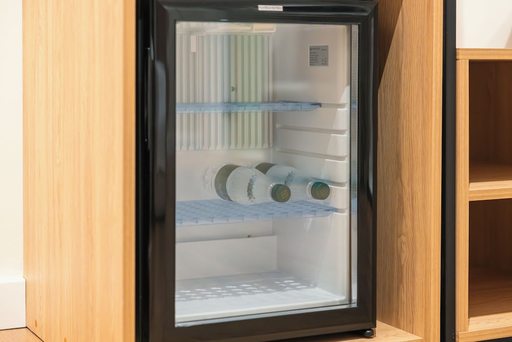 Mini-refrigerator