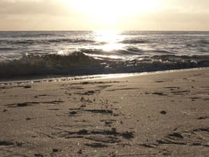 thumbnail: Beach