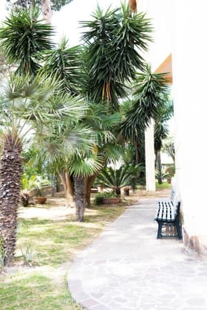 thumbnail: BBQ/picnic area