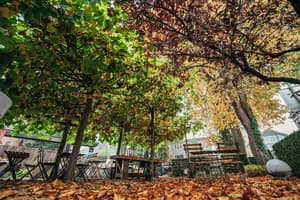 thumbnail: Terrace/patio