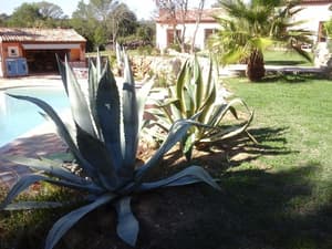 thumbnail: Property grounds