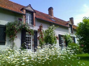 thumbnail: General view