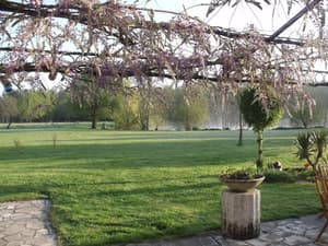 thumbnail: General view