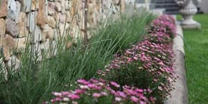 thumbnail: Garden