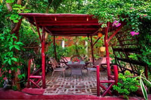 thumbnail: Garden