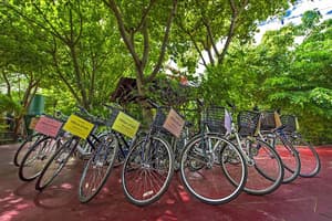 thumbnail: Bicycling