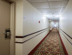 thumbnail: Interior