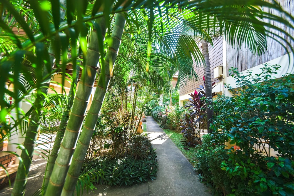 Garden view