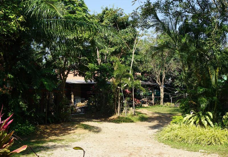 General view