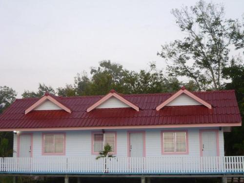 44538003.jpg