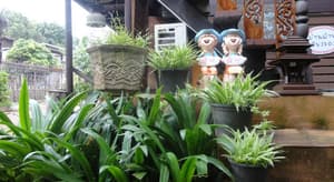 thumbnail: 155063180.jpg