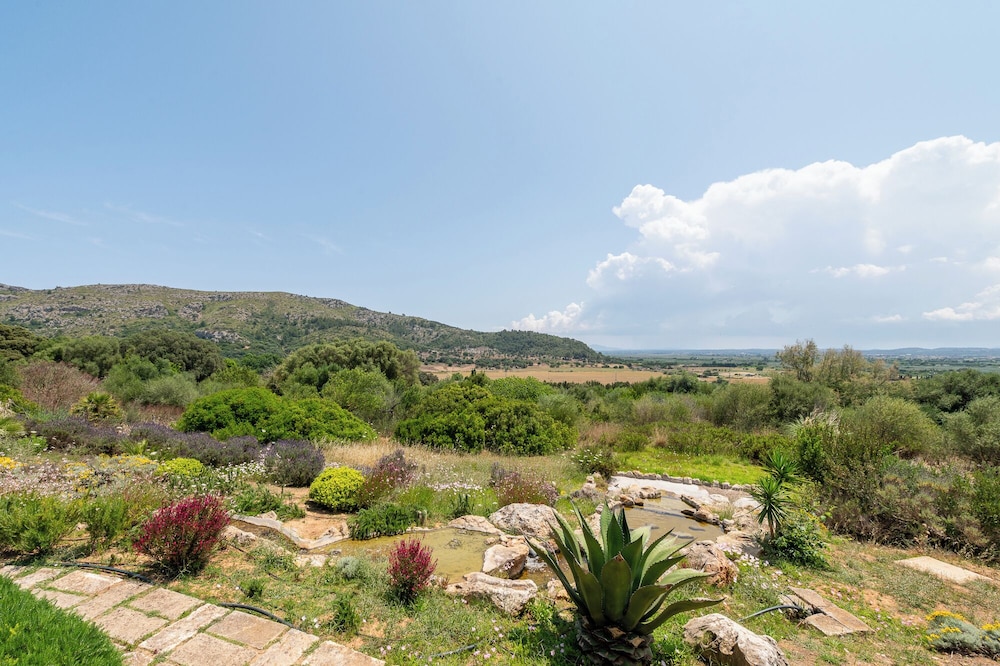 Garden view