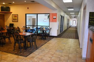 thumbnail: Dining