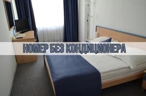 thumbnail: 310916723.jpg