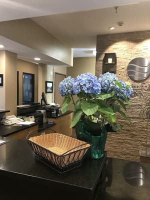 thumbnail: Reception
