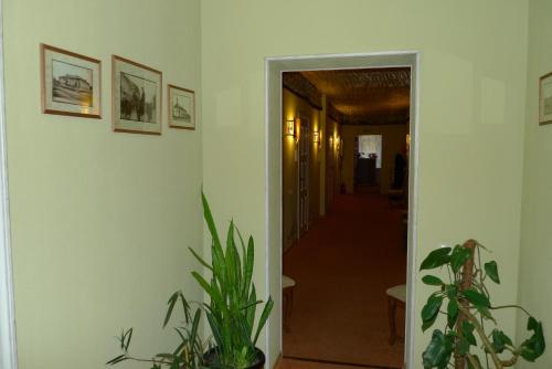 37318073.jpg