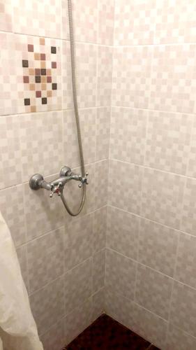 213573958.jpg