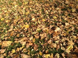 thumbnail: 56827167.jpg