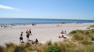 thumbnail: Beach