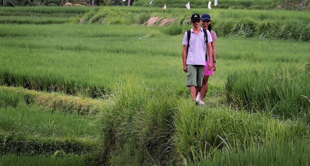 Hiking
