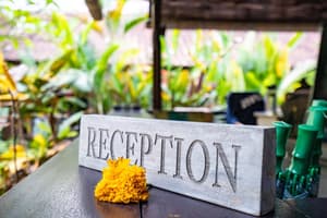 thumbnail: Reception