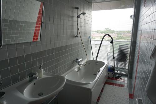 78202184.jpg