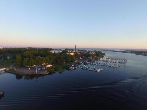 51575745.jpg