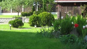 thumbnail: 10116770.jpg