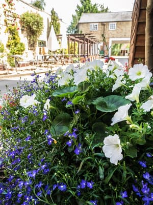 thumbnail: Garden