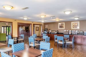 thumbnail: Dining