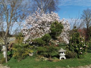 thumbnail: Garden